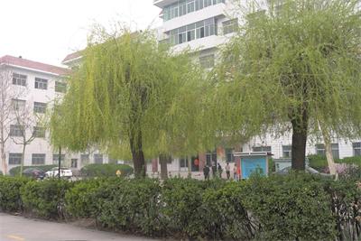 高鐵乘務(wù)專(zhuān)業(yè)，男生學(xué)習(xí)怎么樣？   