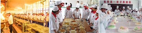 廚師需要學(xué)習(xí)烹飪多少道菜？