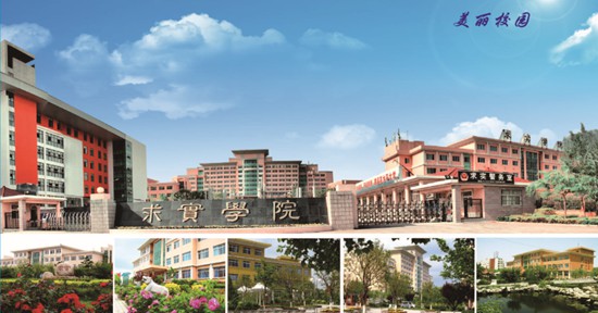 青島哪所學(xué)校開設(shè)了空中乘務(wù)專業(yè)？