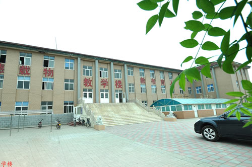 滄州國興職業(yè)技術(shù)學(xué)校哪些專業(yè)比較不錯？