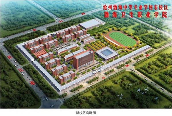 滄州學(xué)幼師為什么選擇滄州渤海專修學(xué)院？