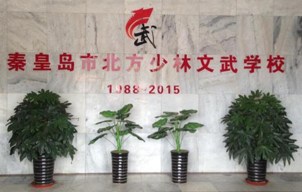 秦皇島北方少林文武學(xué)校就業(yè)如何？這答案你放心！