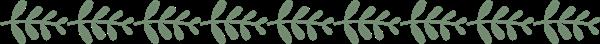 石家莊平安醫(yī)學(xué)中等專業(yè)學(xué)校地址在哪？
