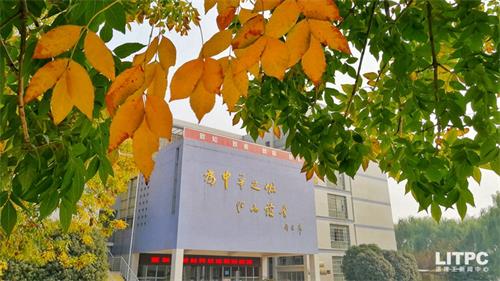 洛陽學(xué)電子商務(wù)去哪里？學(xué)電子商務(wù)去洛陽哪所學(xué)校？
