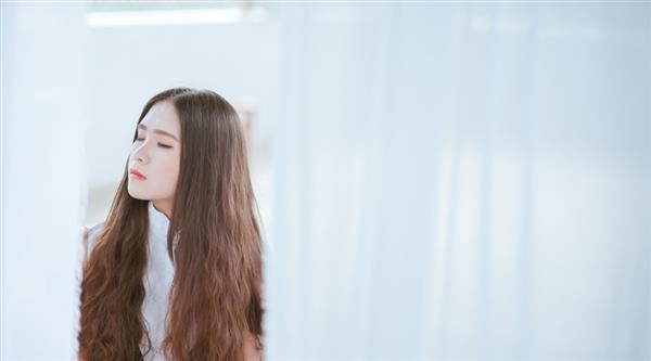 石家莊東方學(xué)院都開設(shè)了哪些專業(yè)？