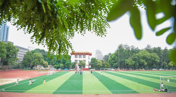 為什么選擇青島滿天星職業(yè)培訓學校？