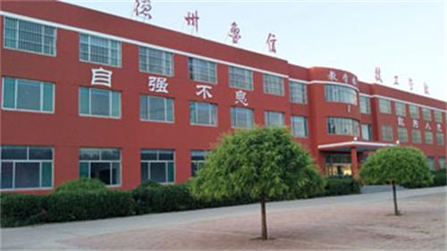 山東德州魯信通懋職業(yè)技工學校就業(yè)情況怎么樣？