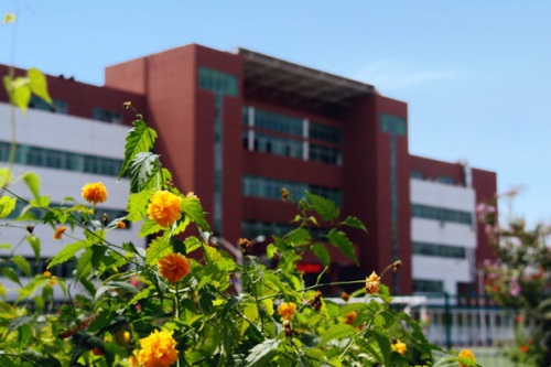 會計專業(yè)都學什么專業(yè)課程？
