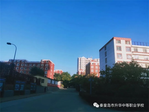 學習電子商務專業(yè)畢業(yè)后有哪些就業(yè)方向？