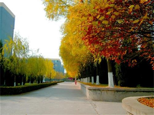 北京現(xiàn)代體育學(xué)院、航空乘務(wù)學(xué)院設(shè)施好嗎？