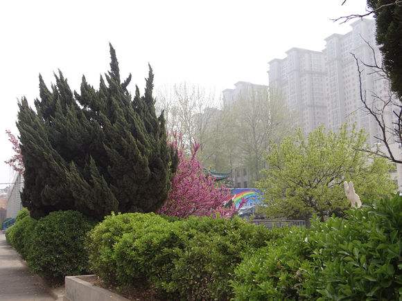 煙臺(tái)天虹學(xué)院怎么樣？