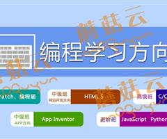 孩子為什么要盡早學(xué)習(xí)少兒編程。濟(jì)寧蘑菇云少兒編程