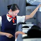 航空服務(wù)（票務(wù)、安檢方向）、航空乘務(wù)定向委培